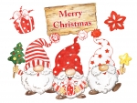 Funny Christmas Gnomes