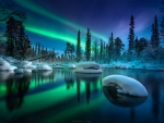 Northern lights