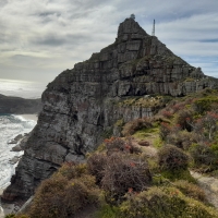 Cape Peninsula