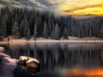 winter lake