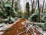 Snowy Appalachian Trail, Pennsylvania