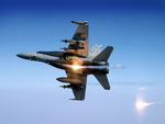 F-18 Hornet