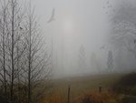 Morning Fog