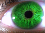 Nature Green Eye