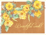 BEAUTIFUL WEEK