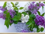 BASKET OF LILACS