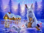 winter rabbits