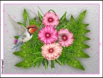 HUMMINGBIRD WITH DAISIES
