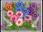 DAISIES AND HUMMINGBIRDS