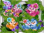 CUTE BIRD COLLAGE