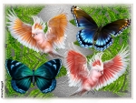 BIRDS AND BUTTERFLES COLLAGE