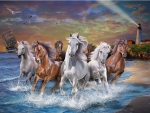 Horses on Seashore