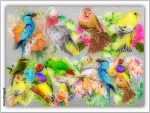 MANY BIRDS ON GLASS COLLAGE