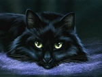 A Black Cat