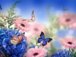 Daisies and butterflies