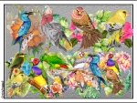 MANY BIRDS COLLAGE