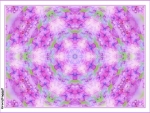 LILAC KALEIDOSCOPE