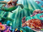 Marine Sea Turtles