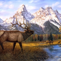 prince of the tetons