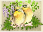 CUTE BIRDS ON A BRANCH