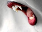 Vampire's Bite
