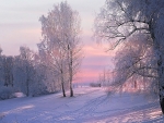 winter scene