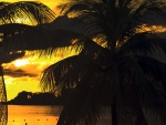 Jamaican Sunset