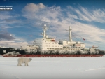 Polar bear and icebreaker Lenin