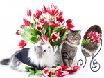 Cats sitting near a bouquet