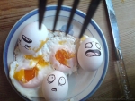 Eggs fear death