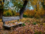 Autumn Bench