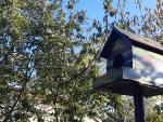 Birds house