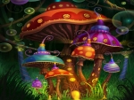 Magic Mushroom City