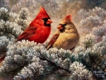 Cardinal Couple