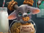 Goatmeal cookies