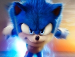 Sonic The Hedgehog 2