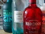 Scottish Gins