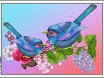 LITTLE BLUE BIRDS