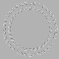 optical-illusion