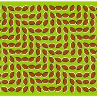 optical-illusion