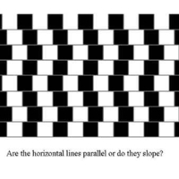 optical-illusion