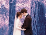 Twilight Breaking Dawn Part 1