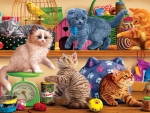 Pet Shop Kittens