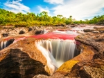 Multicoloured River In Colombia