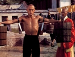The 36th Chamber Of Shaolin