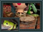 FROG COLLAGE
