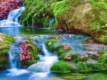 Spring Waterfall