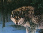 Wolf