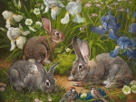 rabbits in the garden