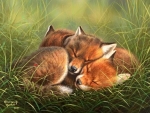 fox family